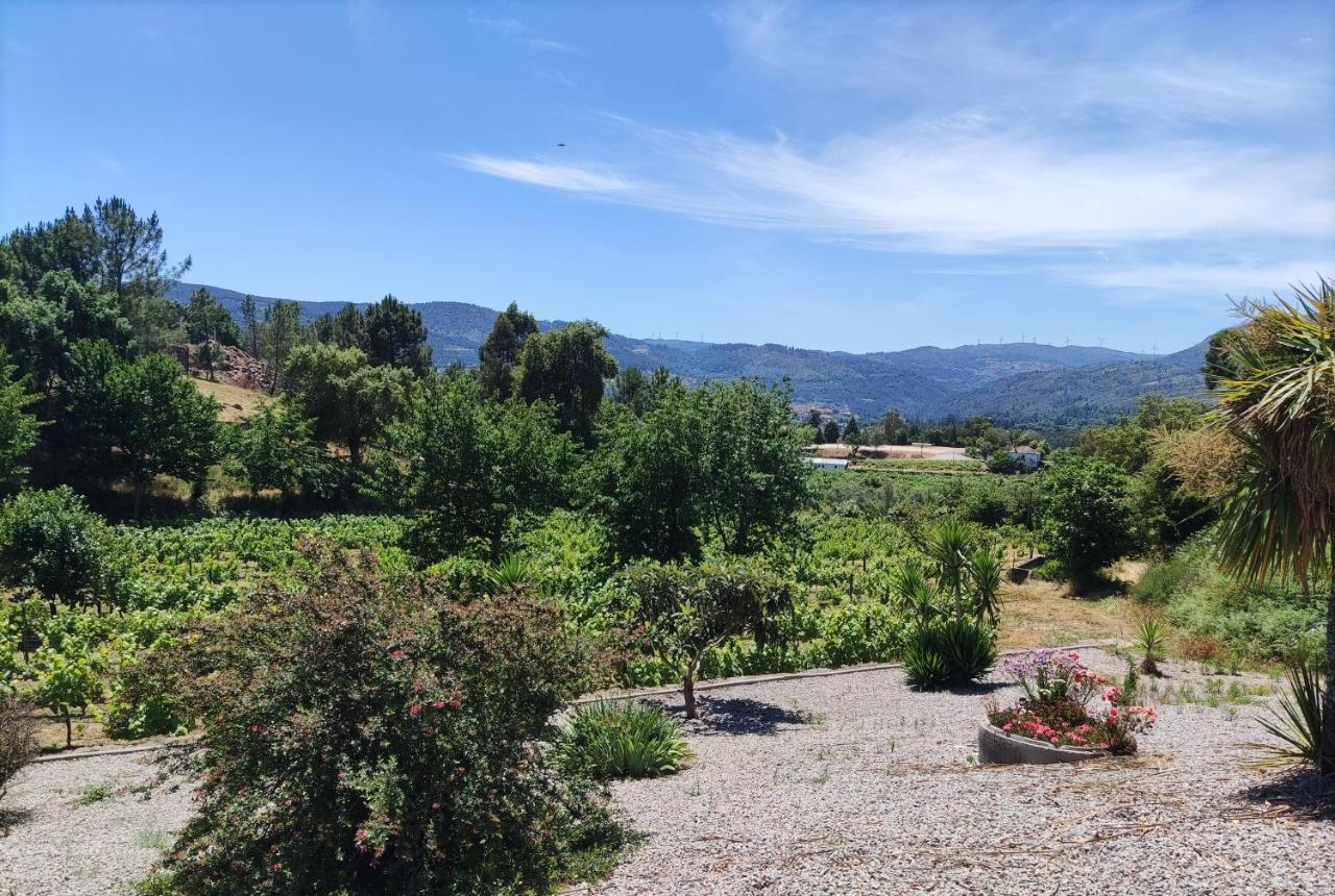 Quinta Da Paixao - Bed & Breakfast Pedraca Dış mekan fotoğraf