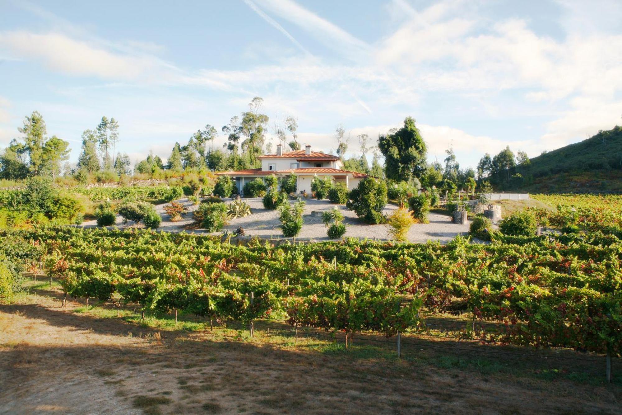 Quinta Da Paixao - Bed & Breakfast Pedraca Dış mekan fotoğraf